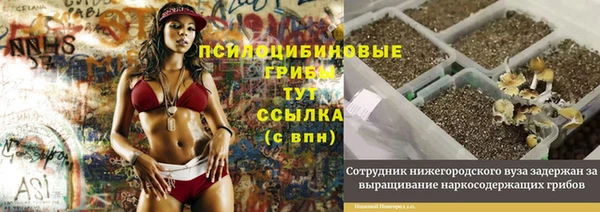 mdpv Балахна